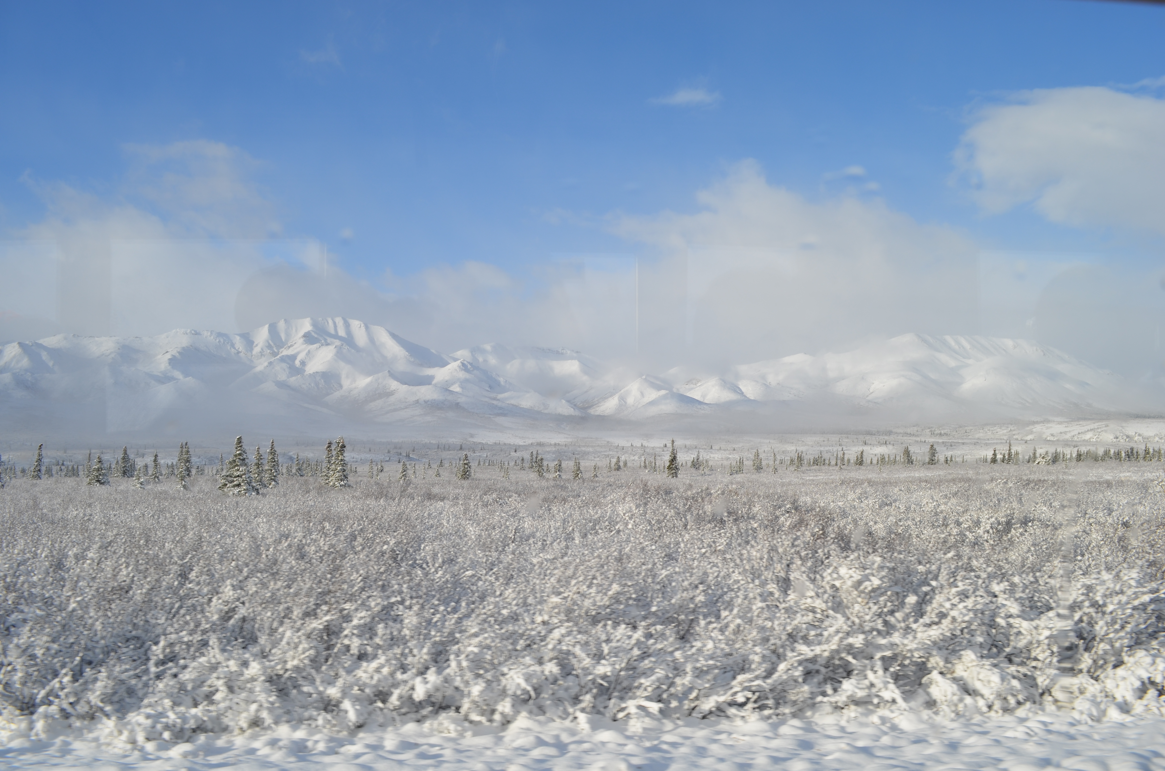 ./2017/08 - Alaska Cruise/03 - Denali/DSC_0212.JPG